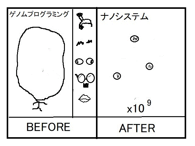 beforeafter2